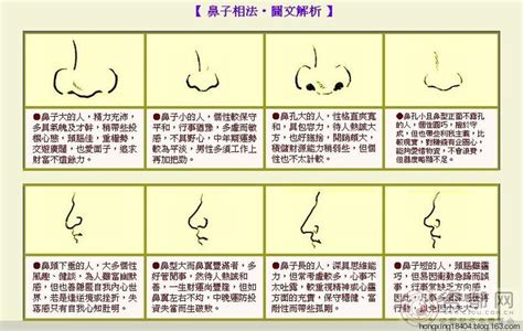 鼻子看面相|面相學之鼻型解析、全面解讀鼻子與命運